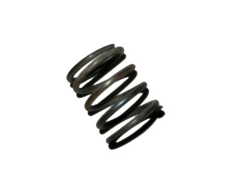 Feder 10087 TZ4K14
